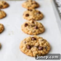 baked oatmeal chocolate chip cookies on a pan