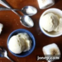 Golden Marshmallow Dream 2 Toasted Marshmallow Ice Cream in a bowl with a spoon