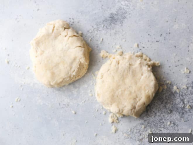 Two chilled disks of all-butter pie crust dough, wrapped in plastic.