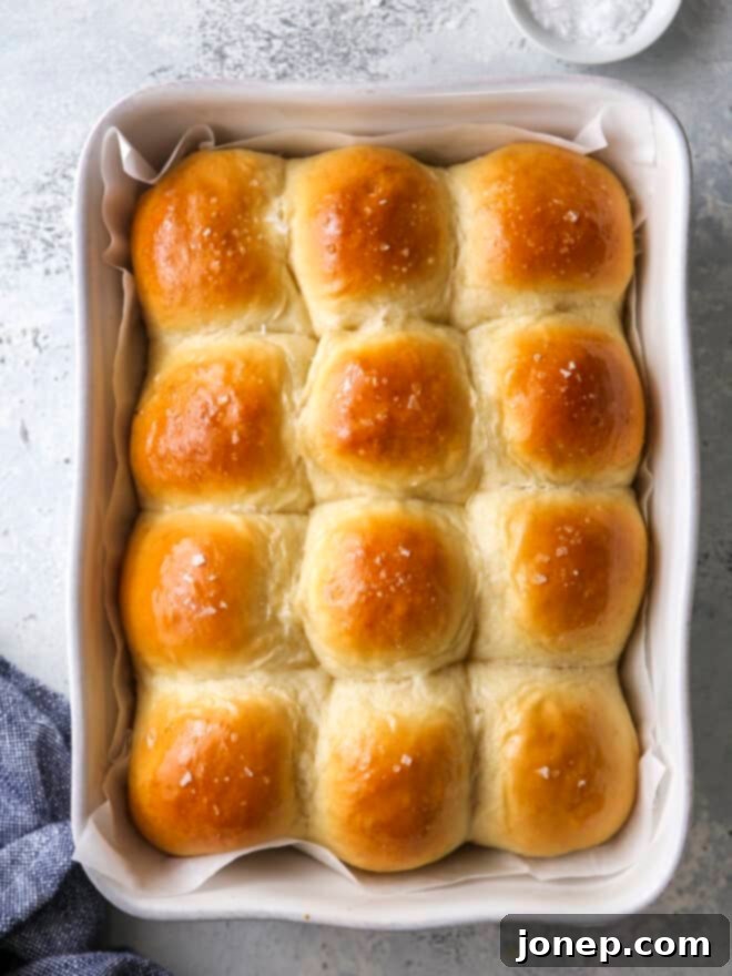 soft white dinner rolls in the baking pan