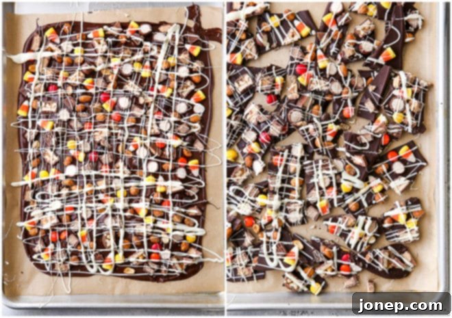 Halloween Candy Bark 5 Pieces of Halloween candy bark arranged neatly on parchment paper