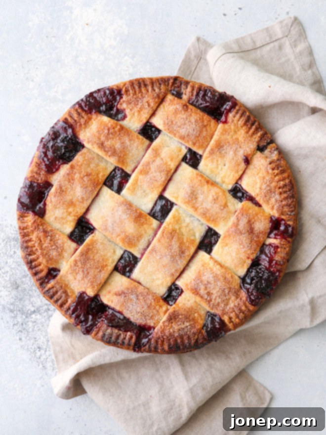 This cranberry blueberry pie is the perfect combination of sweet and tart, with plenty of cozy spices and a buttery flaky pie crust. It's perfect for the holidays!