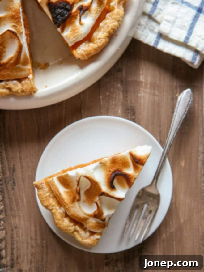Caramelized Marshmallow Meringue Sweet Potato Pie 3 overhead view of sweet potato pie with toasted marshmallow meringue topping