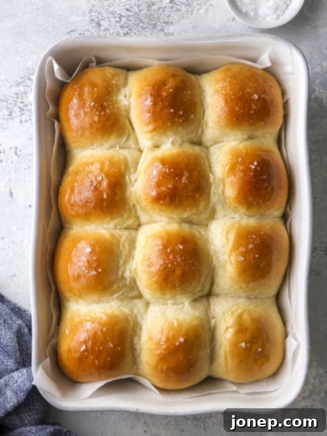 Soft white dinner rolls perfectly baked in a rectangular baking pan, ready to be served, showing their golden brown tops and tender texture.