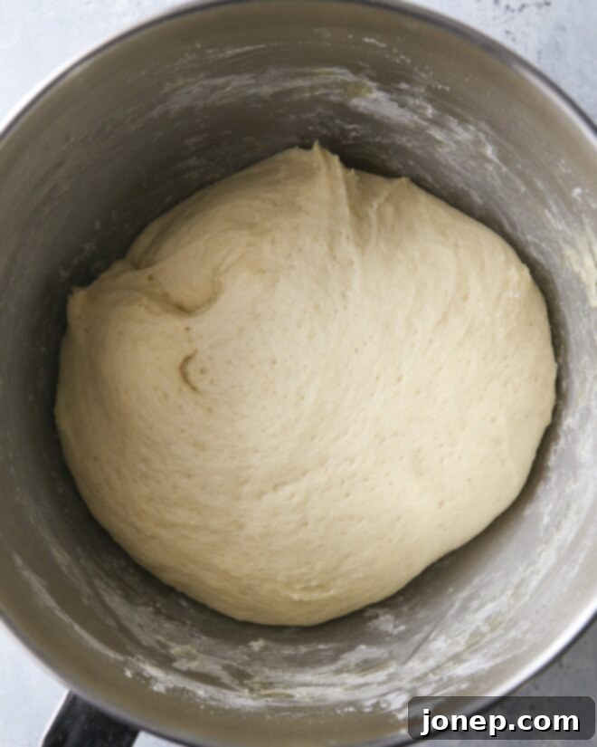 Yeast dough after its first rise, beautifully doubled in size and looking puffy and airy in a mixing bowl.