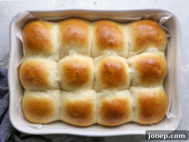 Freshly baked soft white dinner rolls in a baking dish, golden brown and glistening, ready to be served.