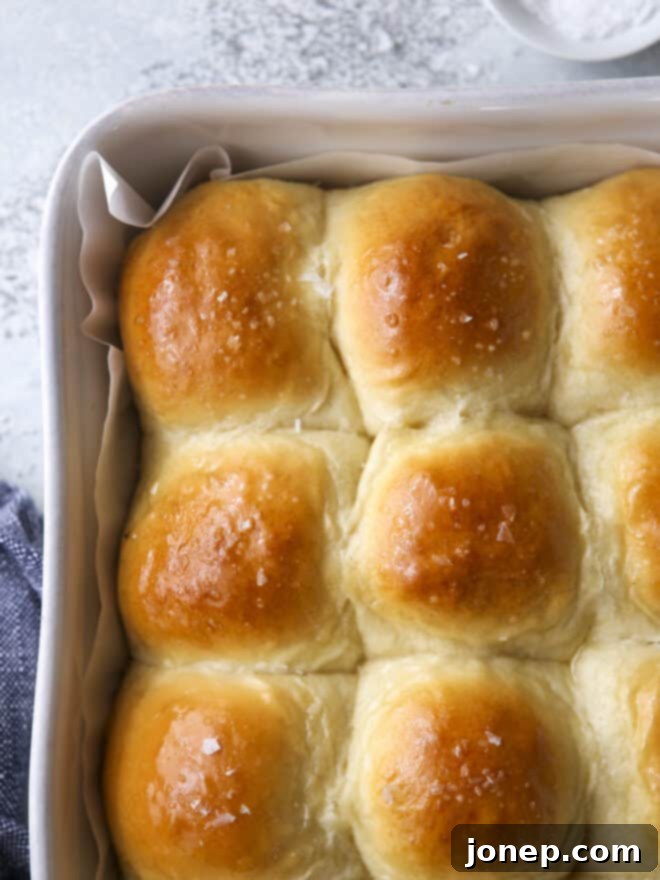 A close-up view of soft white dinner rolls fresh out of the oven, with a delicate golden crust and a hint of butter glaze, still in the baking dish.