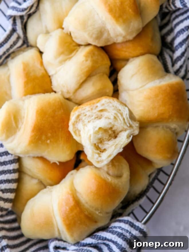 Fluffy No-Knead Fairy Crescent Rolls 3 inside of easy no-knead fairy crescent rolls in a bread basket