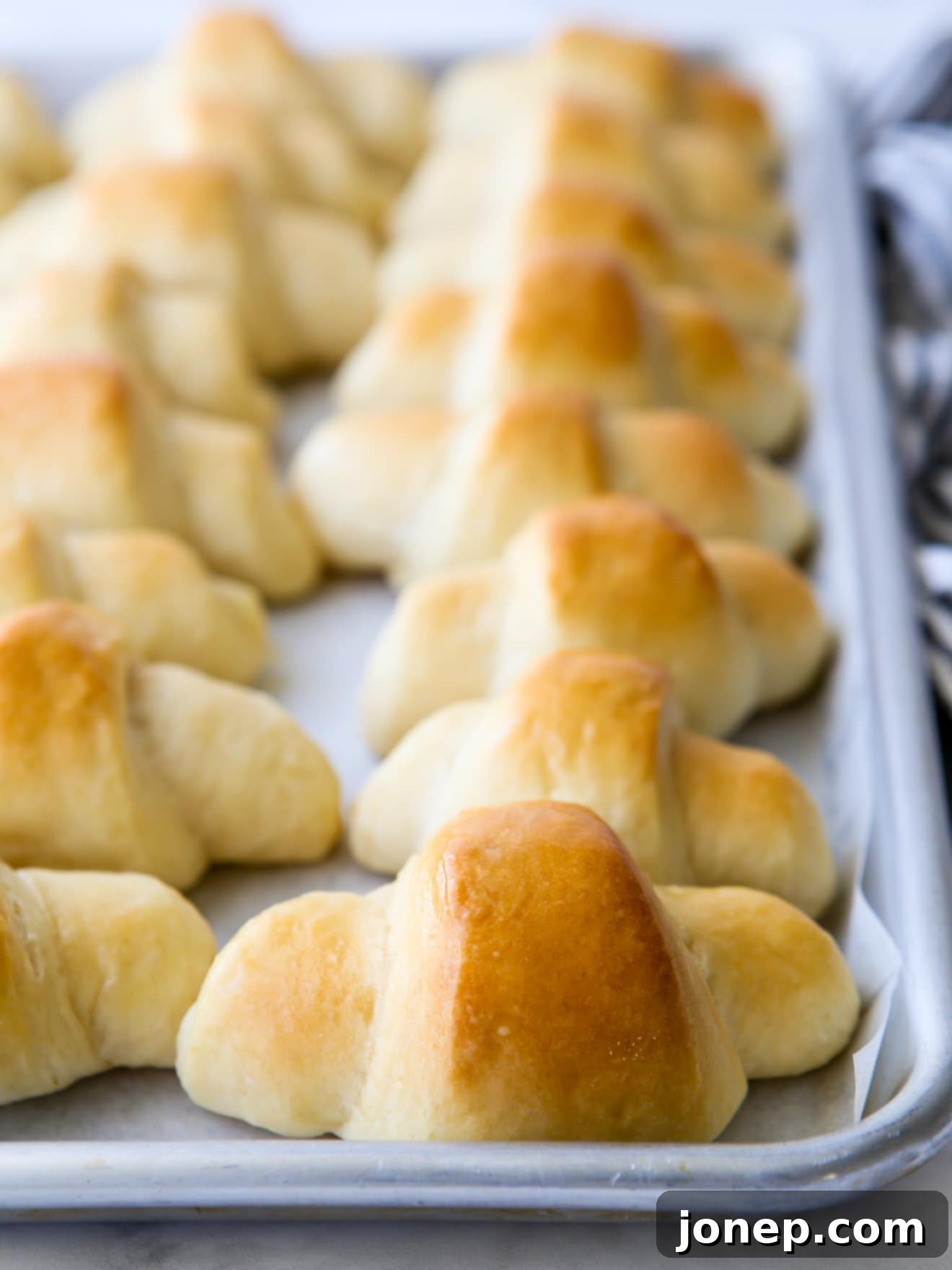 fairy crescent rolls baked on a pan