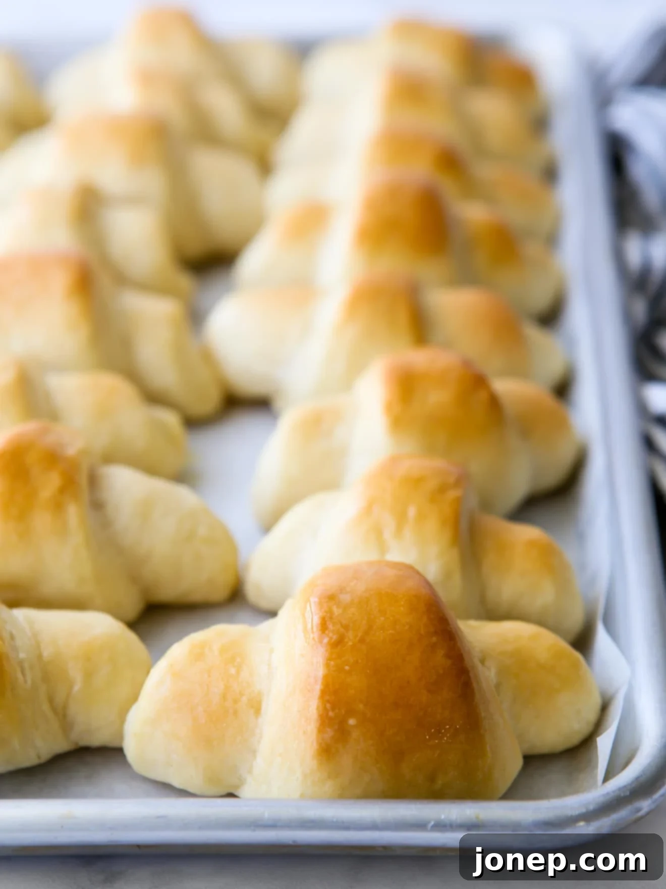 fairy crescent rolls baked on a pan