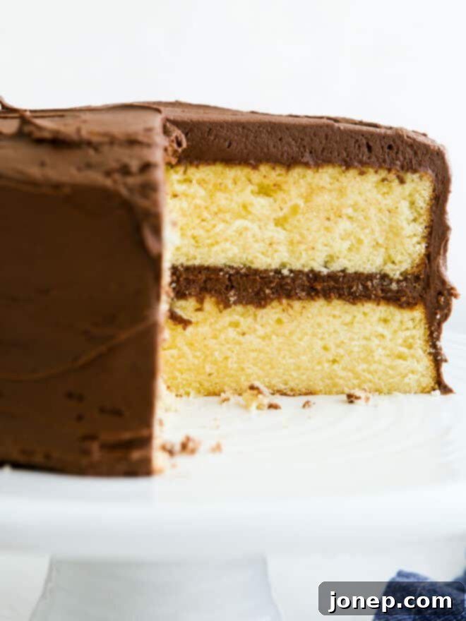 Golden Yellow Cake with Rich Chocolate Frosting 8 slice of yellow cake with chocolate frosting