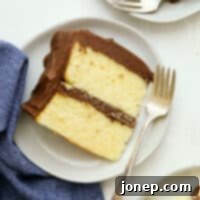 Golden Yellow Cake with Rich Chocolate Frosting 10 Yellow Cake with Chocolate Frosting