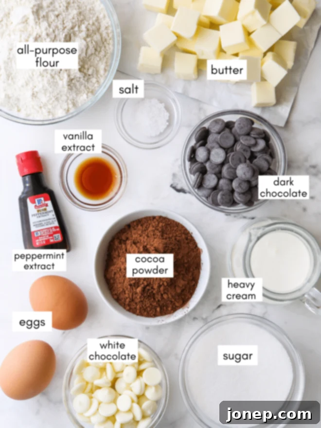 Ingredients for chocolate mint thumbprint cookies