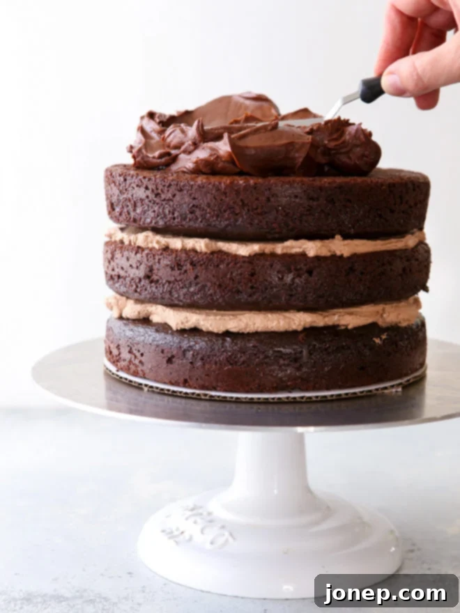 Mastering the Layered Cake 2 Frosting the chocolate sour cream cake