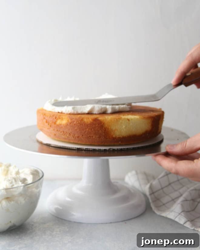 Mastering the Layered Cake 6 How to build a layer cake
