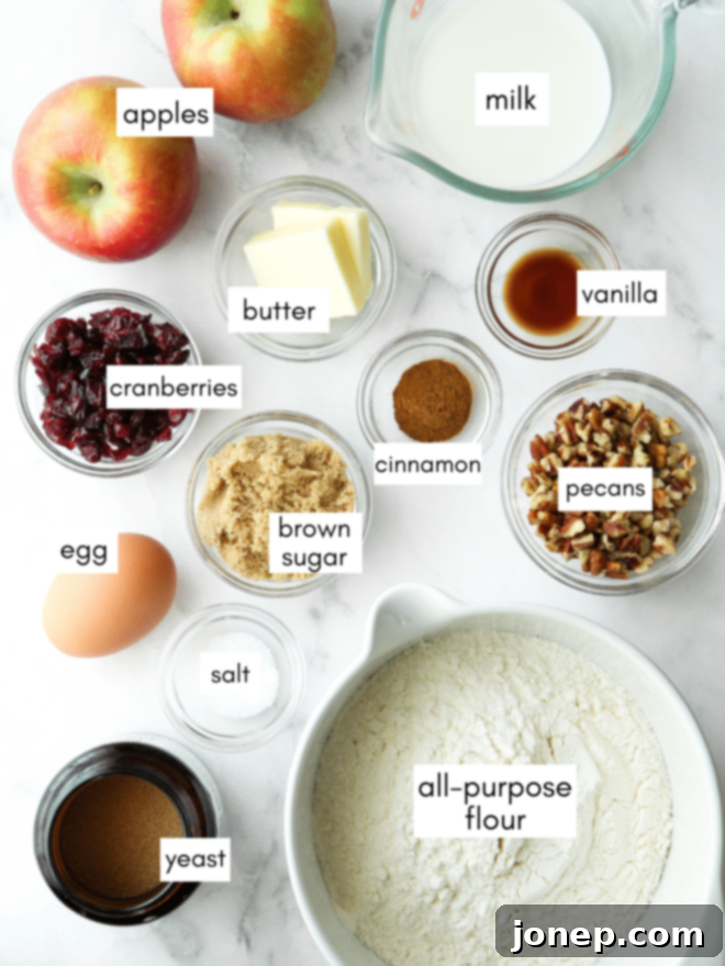 Warm Apple Cranberry Bread 4 A flat lay photograph showcasing all the dry and wet ingredients neatly arranged before baking apple cranberry bread, including flour, sugar, yeast, milk, butter, egg, apples, cranberries, and pecans.