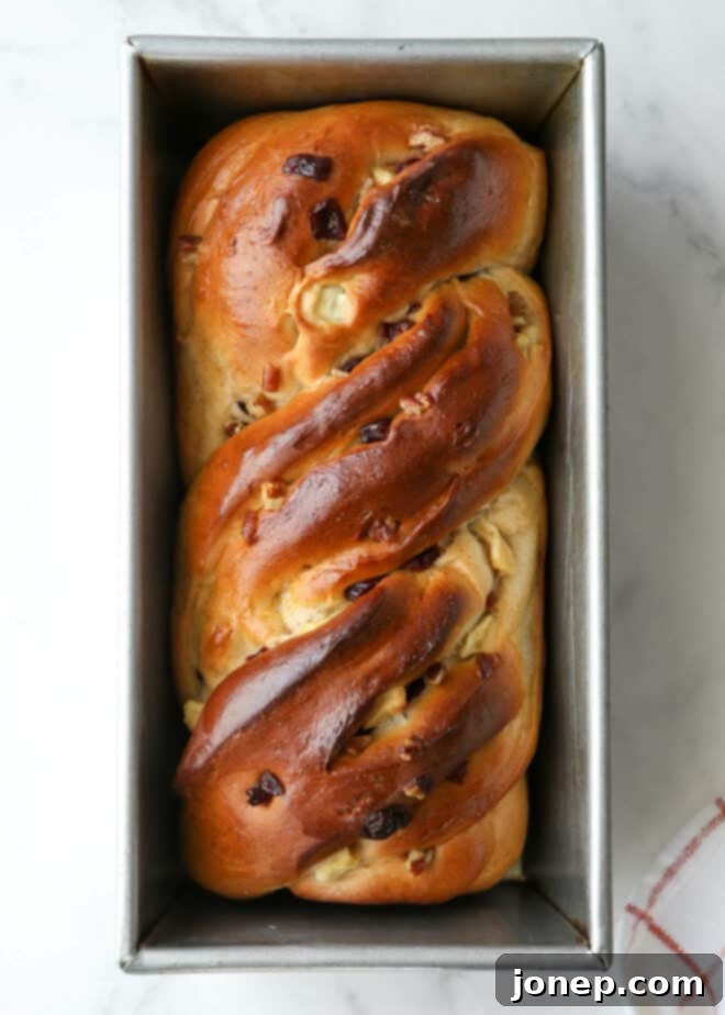 Warm Apple Cranberry Bread 9 A freshly baked apple cranberry bread, golden brown and still in its loaf pan, emanating warmth and delicious aroma.