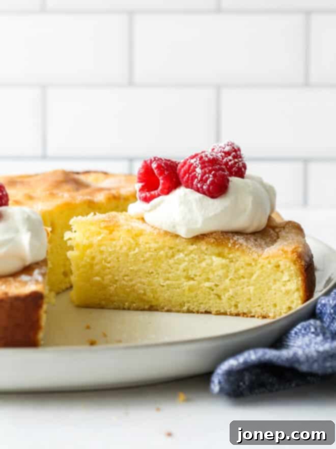 close up of slice of lemon olive oil cake