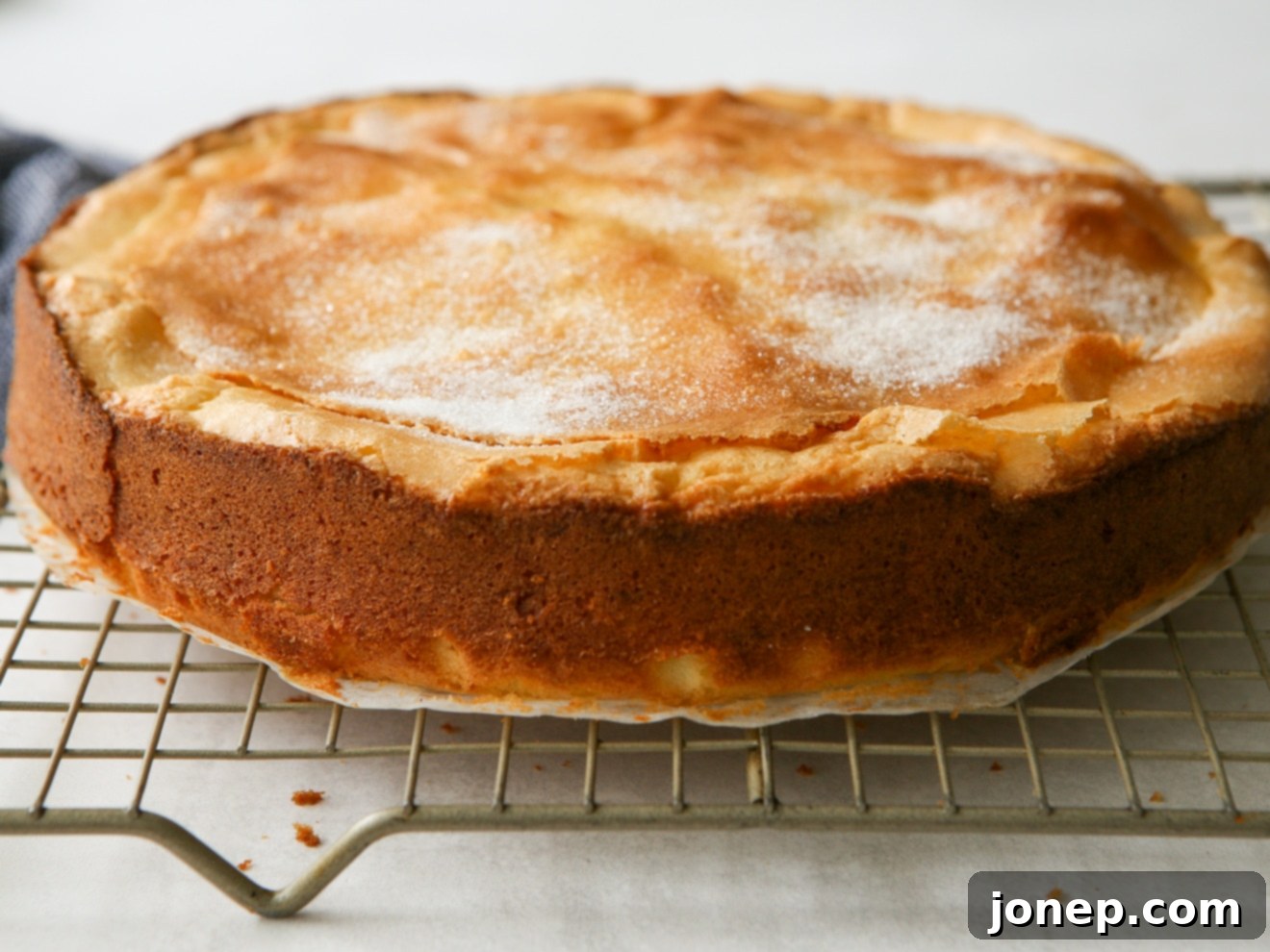 baked lemon olive oil cake