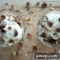 Homestyle Chocolate Peanut Swirl 2 img 161 6