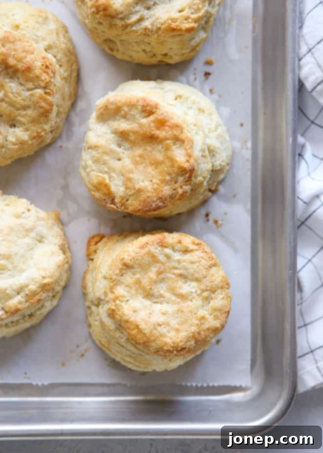 Simple Buttermilk Biscuits 1 Perfectly Golden, Flaky Easy Buttermilk Biscuits on a Cooling Rack