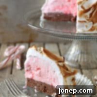 Brownie Candy Cane Baked Alaska