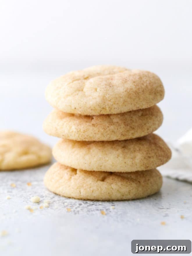 Soft and chewy snickerdoodles with a hint of cinnamon. A true classic!