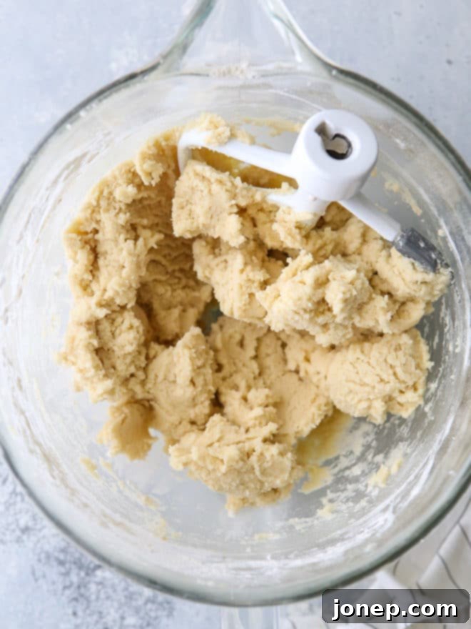 Snickerdoodle cookie dough ready to be rolled in cinnamon sugar.