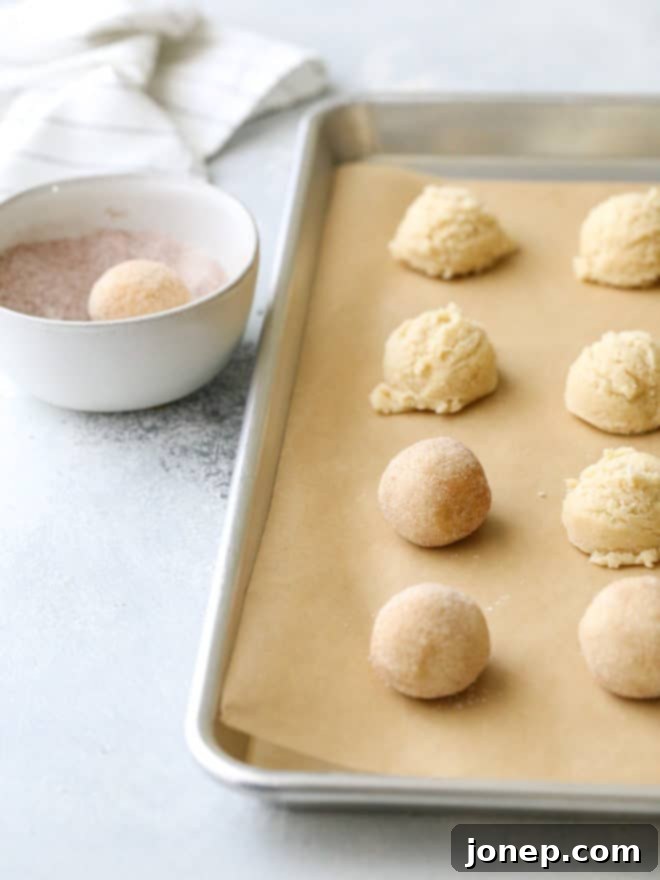 Snickerdoodle cookies arranged on a baking sheet, almost ready for the oven.