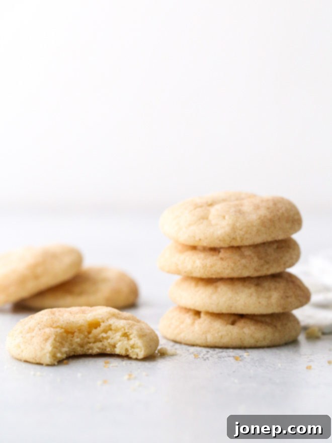 Soft and chewy snickerdoodles with a hint of cinnamon. A true classic!