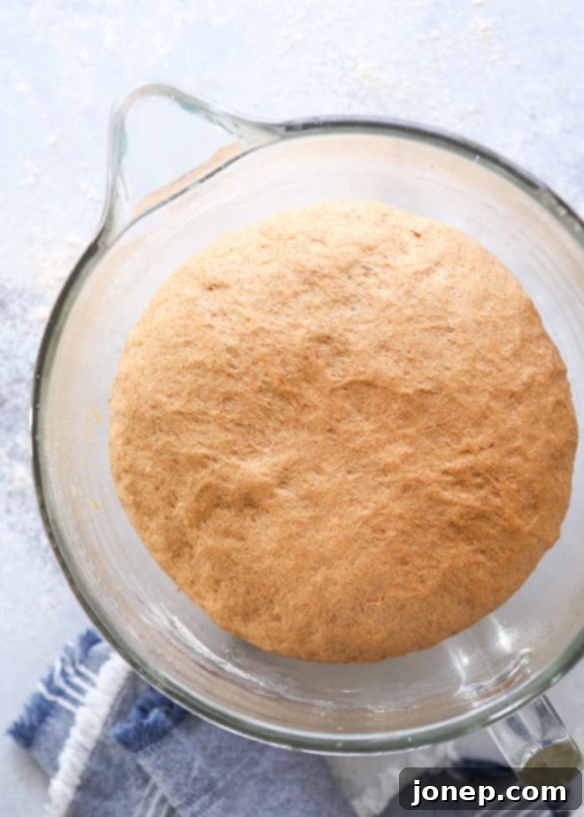Wholesome Whole Wheat Loaf 4 A slice of soft, fluffy 100% whole wheat bread, showing its light texture despite being made with whole grains.