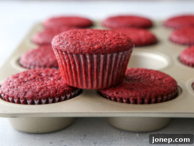 Soft, tender, and perfectly baked red velvet cupcakes cooling on a rack.