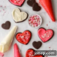 Decadent Chocolate Sugar Cookies 11 frosted sugar cookies with piping bags and sprinkles