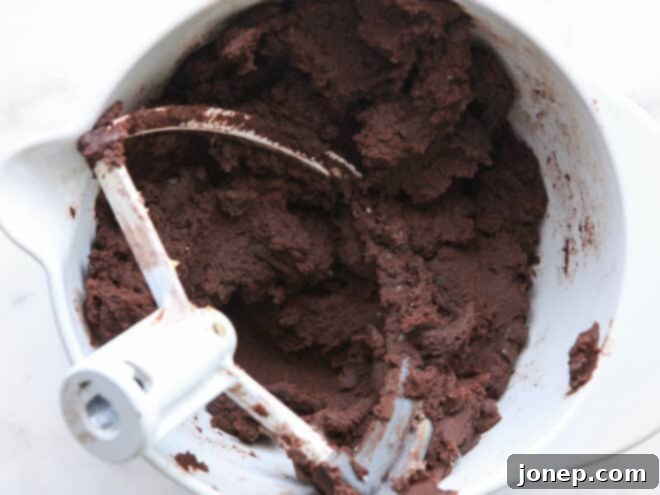 chocolate sugar cookie dough