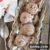 Chocolate Hazelnut Ice Cream