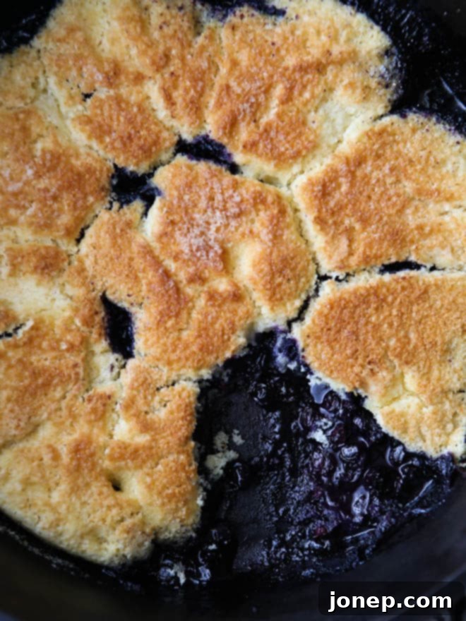 Effortless Dutch Oven Cobbler 7 Warm Dutch oven fruit cobbler served with melted vanilla ice cream