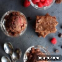 Dark Chocolate Raspberry Brownie Bliss 2 Raspberry Dark Chocolate Ice Cream with Brownie Chunks Recipe