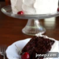 Cherry Chocolate Bliss with Vanilla Cherry Crown 2 Cherry Chocolate Cake with Cherry Vanilla Buttercream