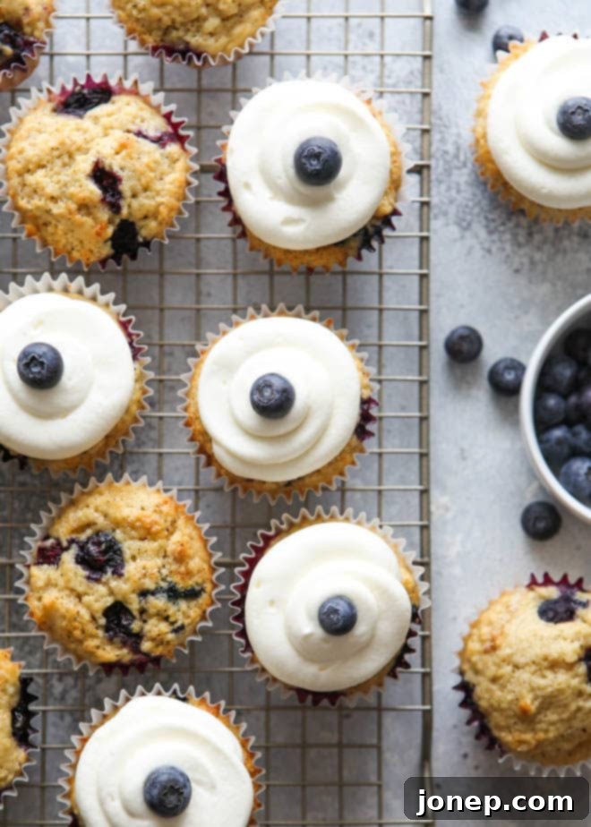 Several frosted blueberry muffin cupcakes with lemon cream cheese frosting on a white plate, garnished with fresh blueberries.