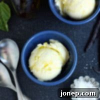 Vanilla Bean Olive Oil Ice Cream