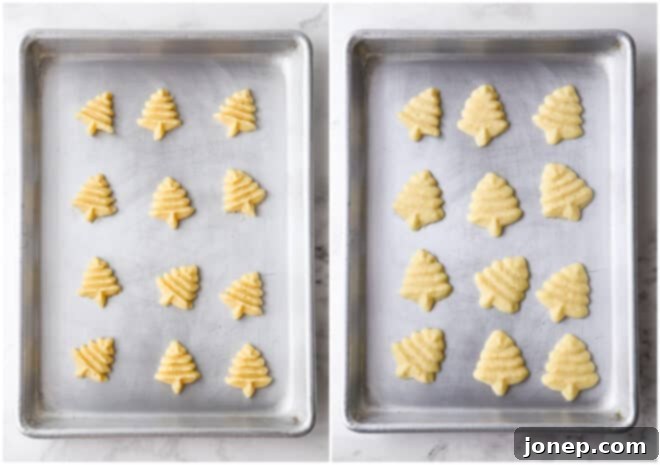A baking sheet with pressed spritz cookies, showing a comparison of raw dough and freshly baked, lightly golden cookies.