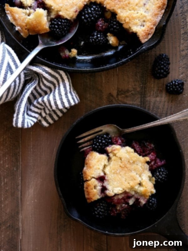 Pioneer Woman's Blackberry Cobbler | completelydelicious.com