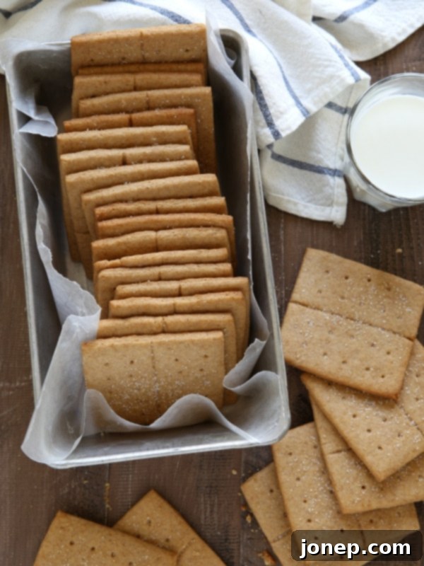 Homemade Honey Graham Cracker | completelydelicious.com