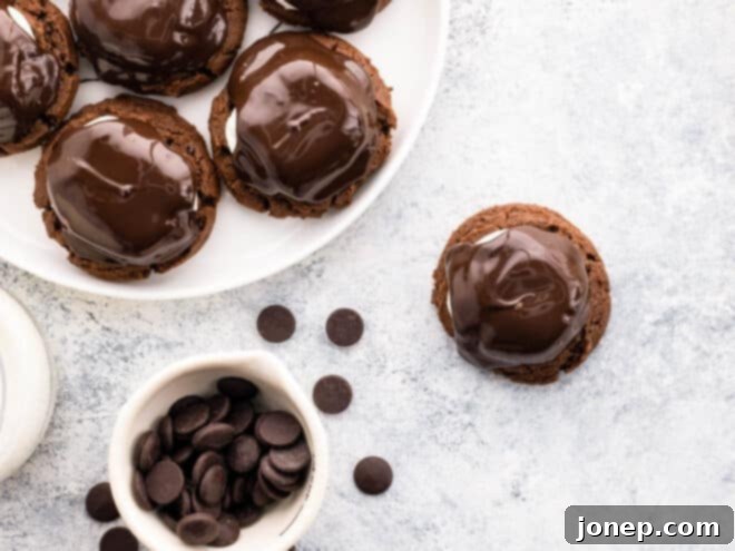 chocolate marshmallow cookies on a plate with chocolate chips