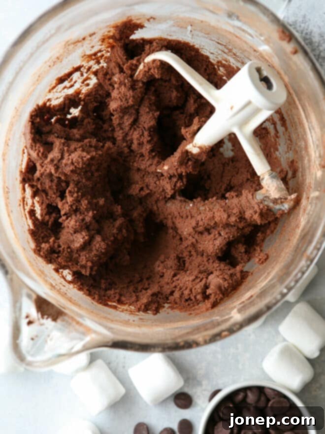 chocolate marshmallow cookie dough