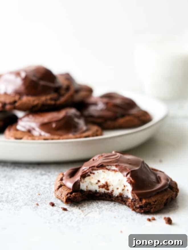 chocolate marshmallow cookie with a bite taken out of it