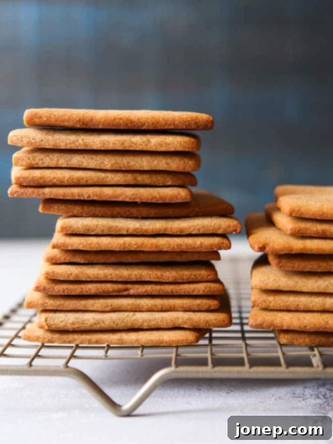 Graham Crackers and Frosting Sandwiches | Simple and delicious.
