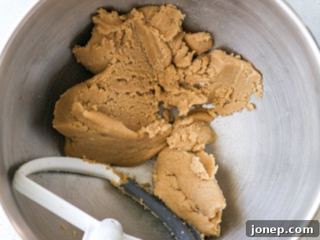 Butter and sugars just combined in a mixer