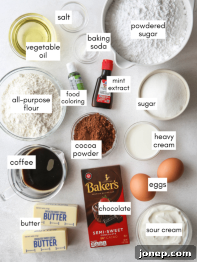 Minty Cocoa Bliss Cupcakes 4 A beautifully arranged flat lay photograph displaying all the fresh ingredients required for making mint chocolate chip cupcakes, including flour, cocoa powder, sugar, eggs, sour cream, oil, cooled coffee, butter, powdered sugar, mint extract, and finely chopped semi-sweet chocolate.