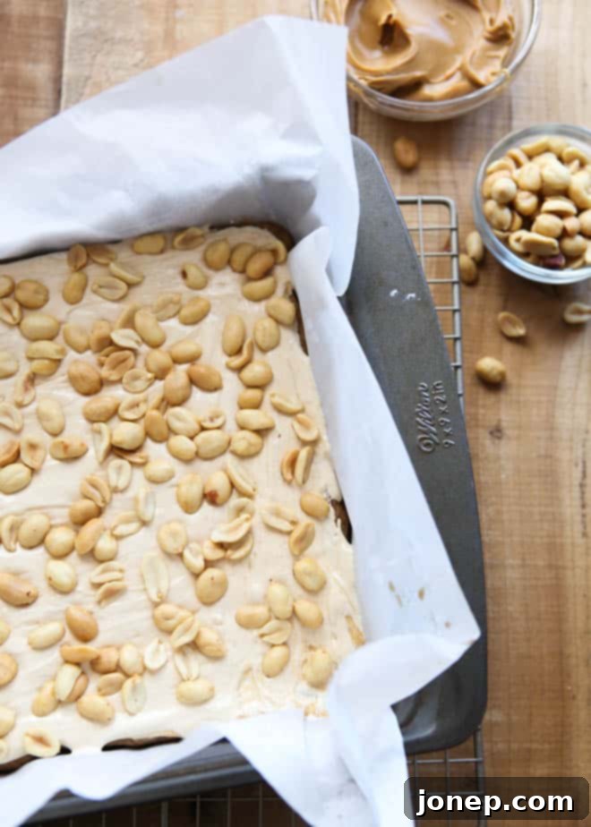 Close-up of a perfectly sliced Salted Caramel Peanut Bar, showing the distinct layers of blondie, peanut butter filling, and caramel with peanuts.
